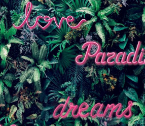 Обои Decoprint Good Vibes GV24210